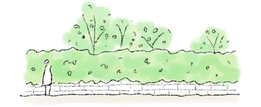 立面としての緑地
